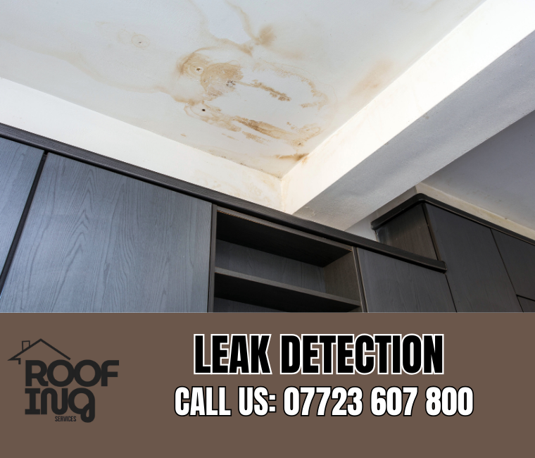 Roof Leak Detection in Padstow