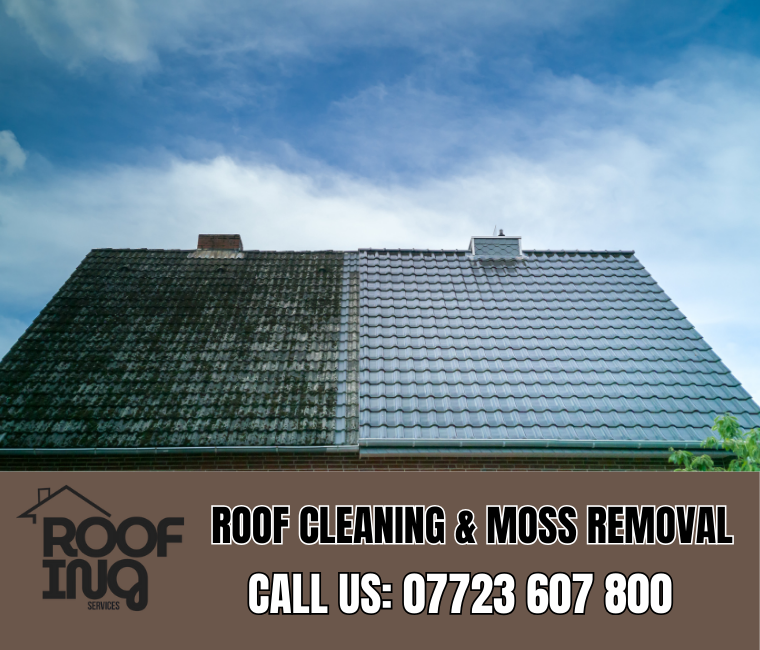 Roof Cleaning in Padstow